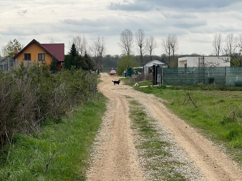 Ciolpani, spre Izvorani, str. Mihail Manolescu 1500 mp,