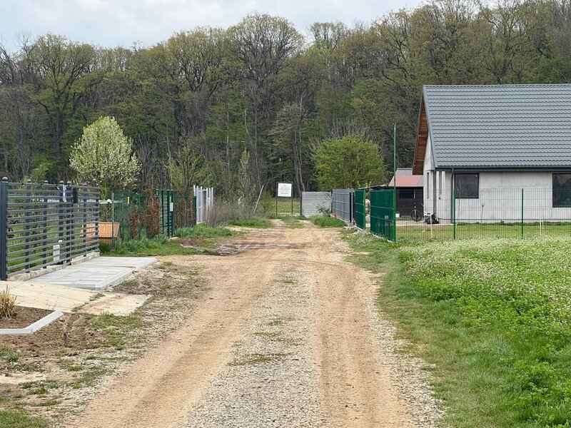 Ciolpani, spre Izvorani, str. Mihail Manolescu 1500 mp,